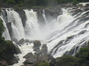 ತಮಿಳುನಾಡಿಗೆ ಕಾವೇರಿ ನೀರು ಬಿಡುಗಡೆ: ಬಿಜೆಪಿ ವಿರೋಧ